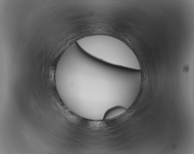 X0000115620281200911101103