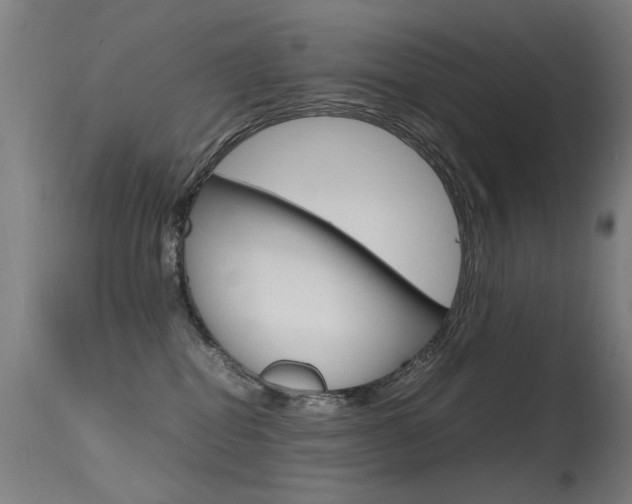 X0000115620282200911101103