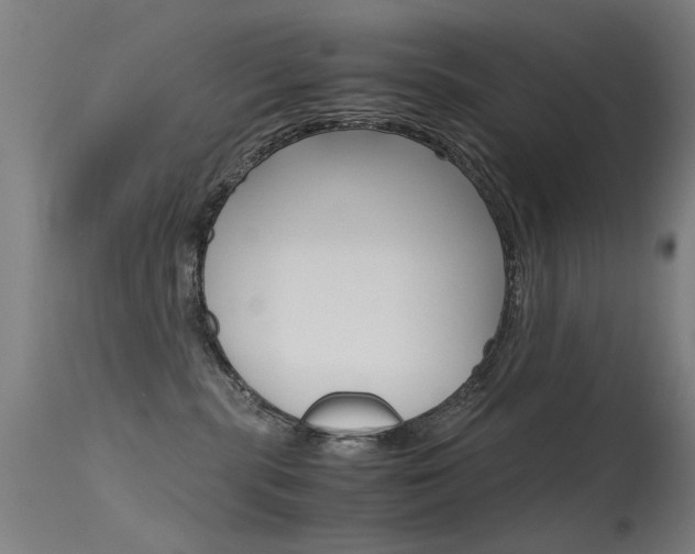 X0000115620283200911101103