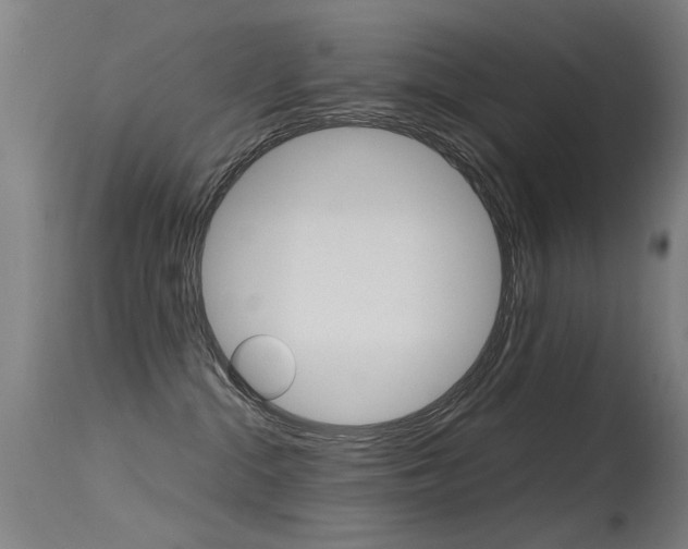 X0000115620284200911101103