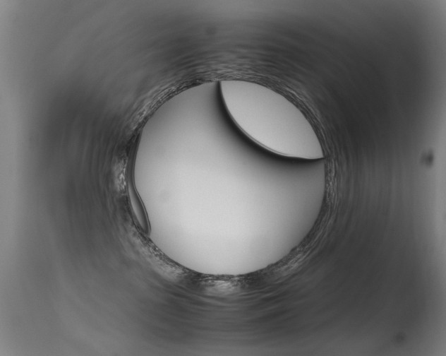 X0000115620285200911101103