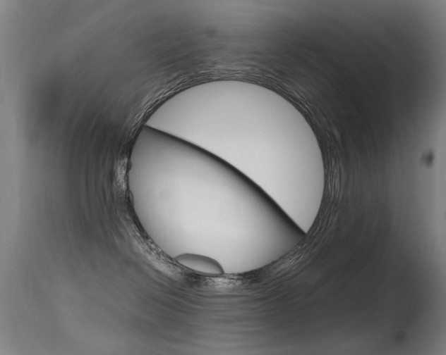 X0000115620286200911101103