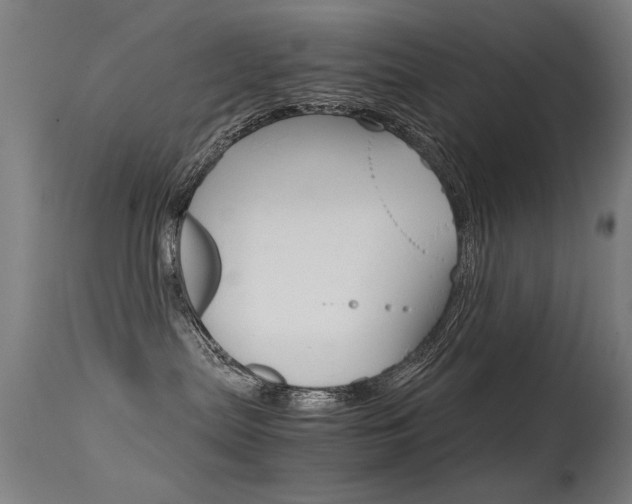 X0000115620287200911101103