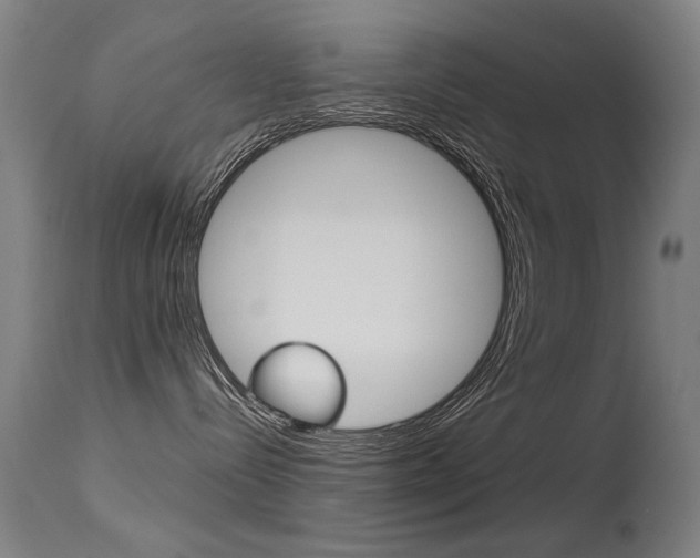 X0000115620288200911101103