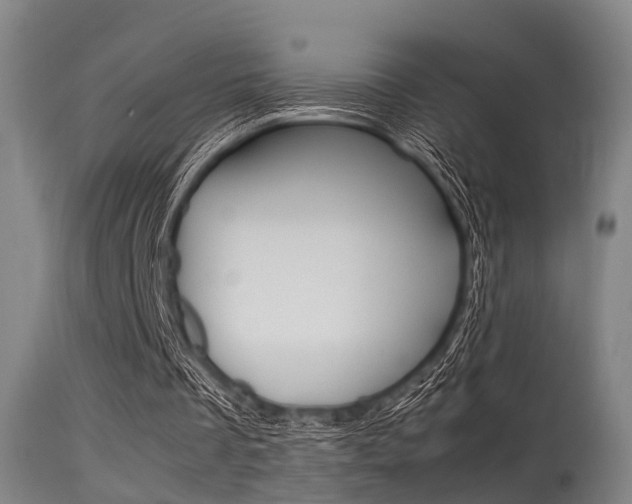 X0000115620289200911101102