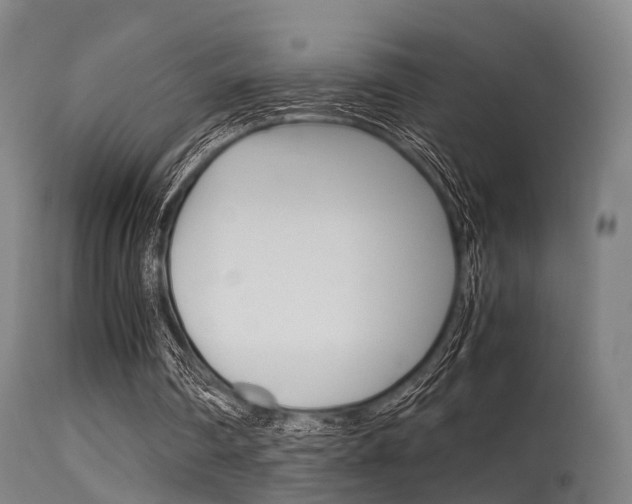 X0000115620290200911101102