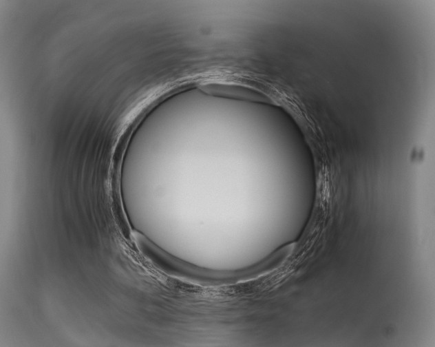 X0000115620292200911101102