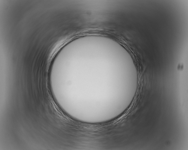 X0000115620293200911101102