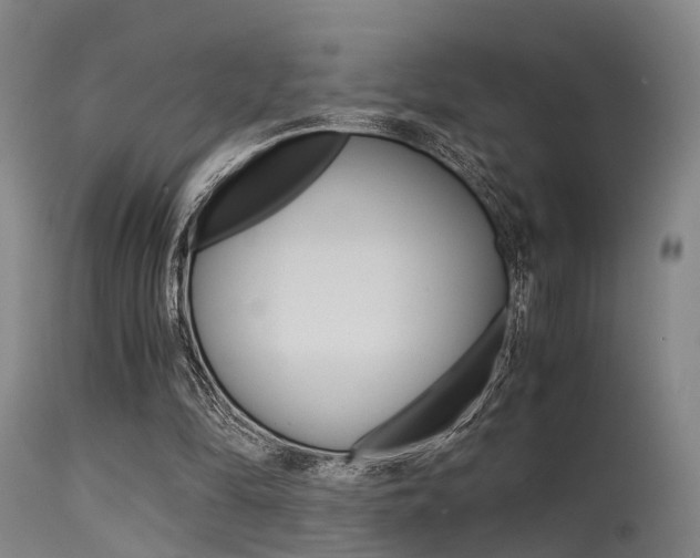 X0000115620294200911101102