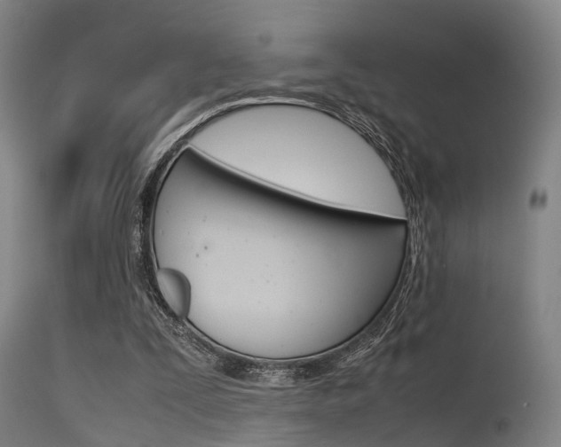 X0000115620295200911101102