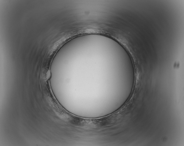 X0000115620297200911101102