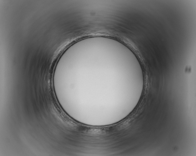 X0000115620298200911101102