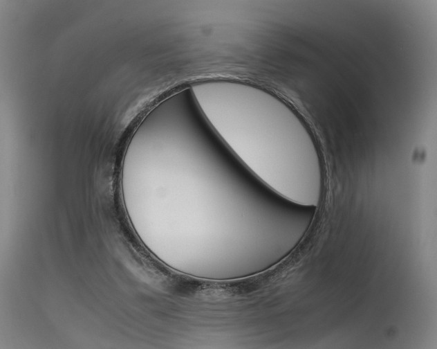 X0000115620299200911101102