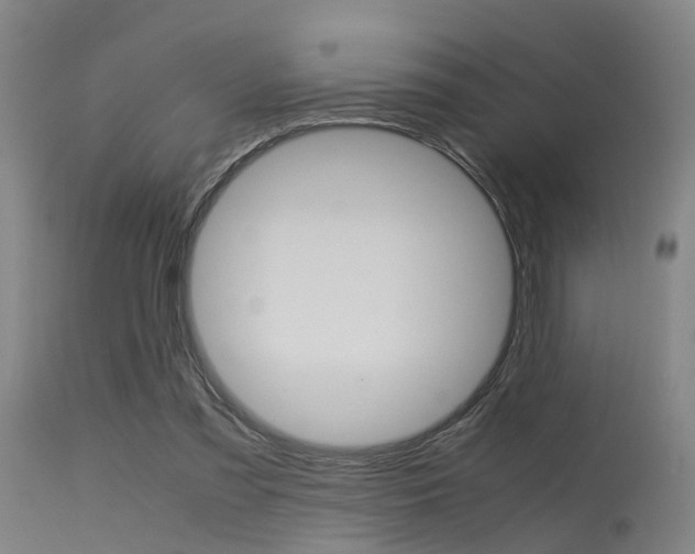 X0000115620301200911101102