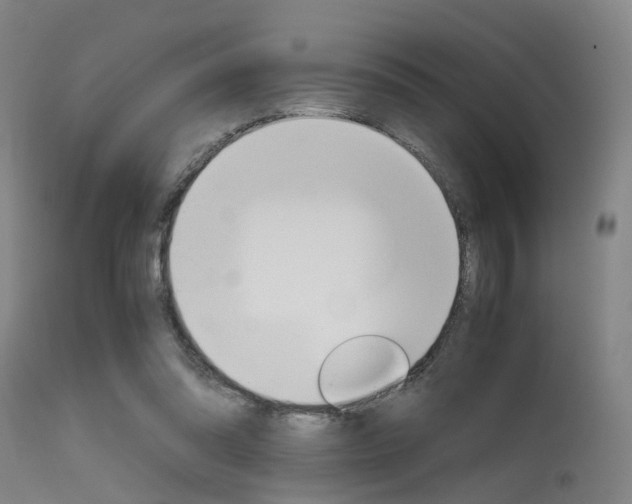 X0000115620302200911101102