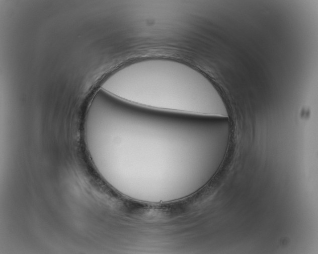 X0000115620303200911101102