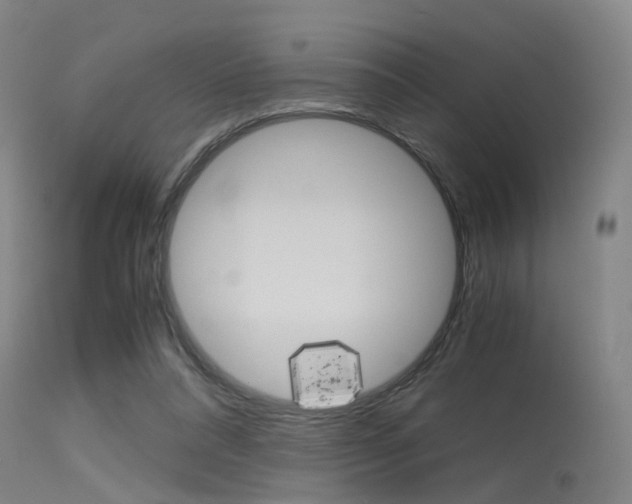 X0000115620304200911101102