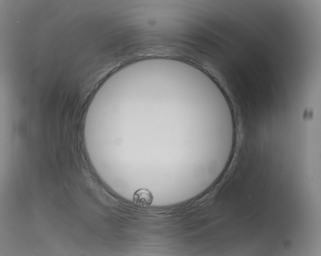 X0000115620305200911101102