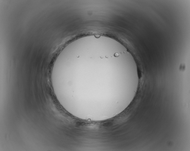 X0000115620306200911101102