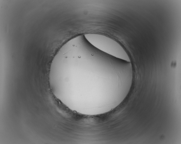 X0000115620307200911101102