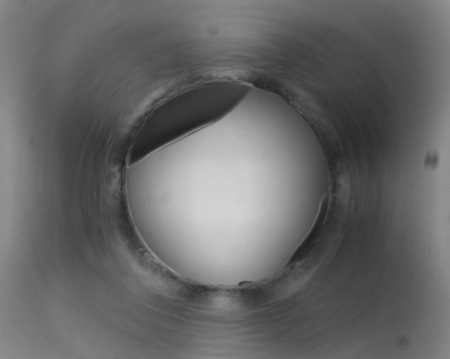 X0000115620308200911101102