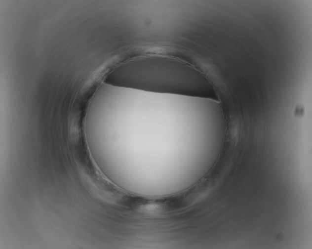 X0000115620312200911101102