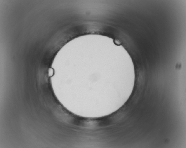 X0000115620313200911101102