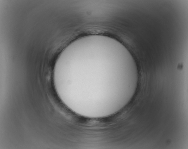 X0000115620315200911101102