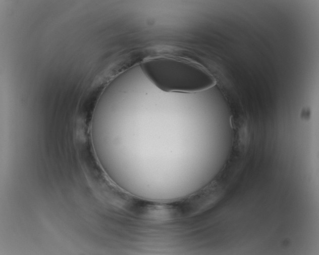 X0000115620316200911101102