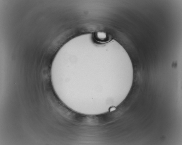 X0000115620317200911101102