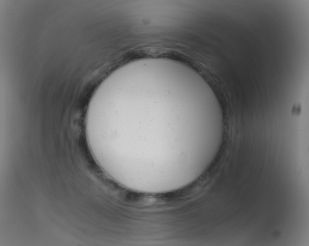 X0000115620319200911101102