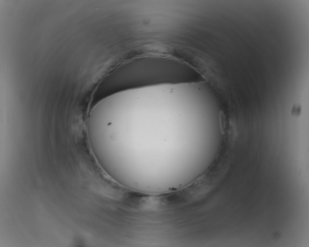 X0000115620320200911101102