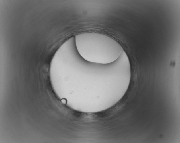 X0000115620321200911101102