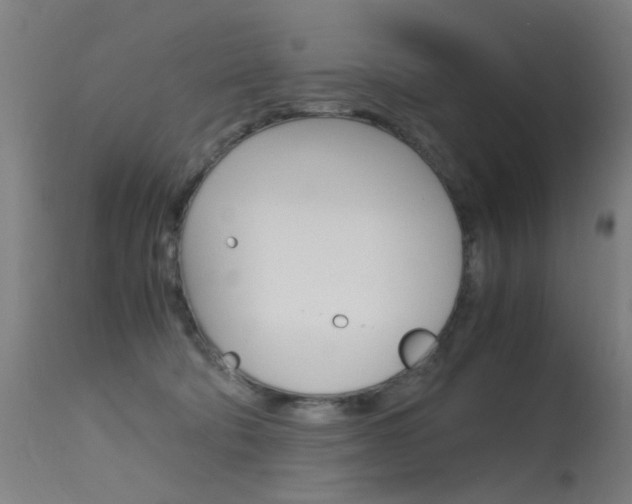 X0000115620322200911101102