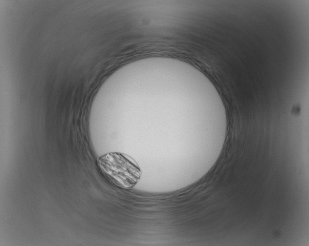 X0000115620323200911101102