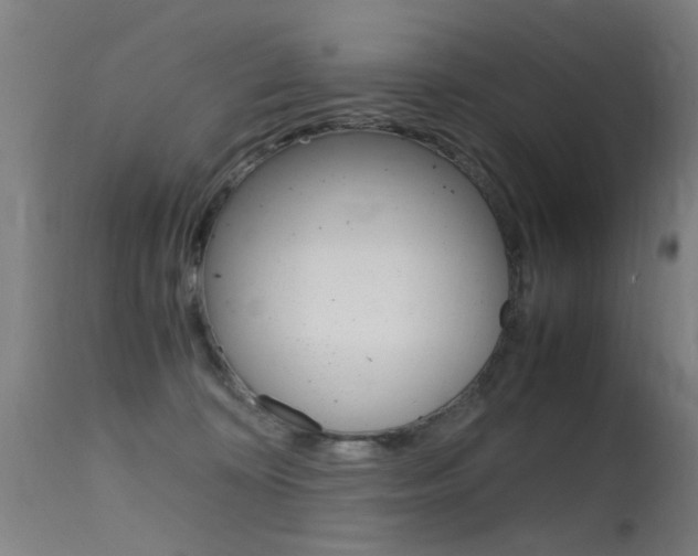 X0000115620324200911101102