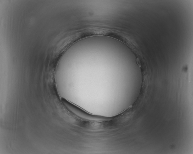 X0000115620325200911101102