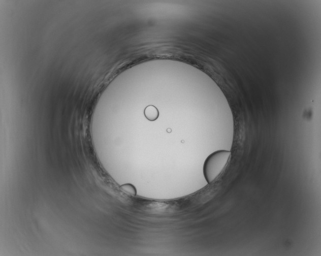 X0000115620326200911101102