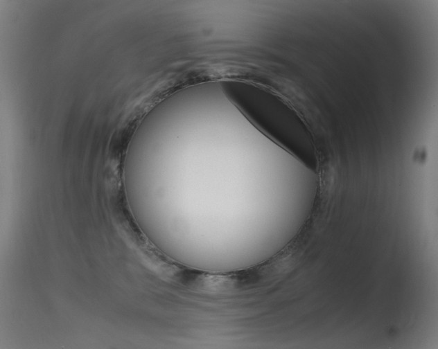 X0000115620327200911101102