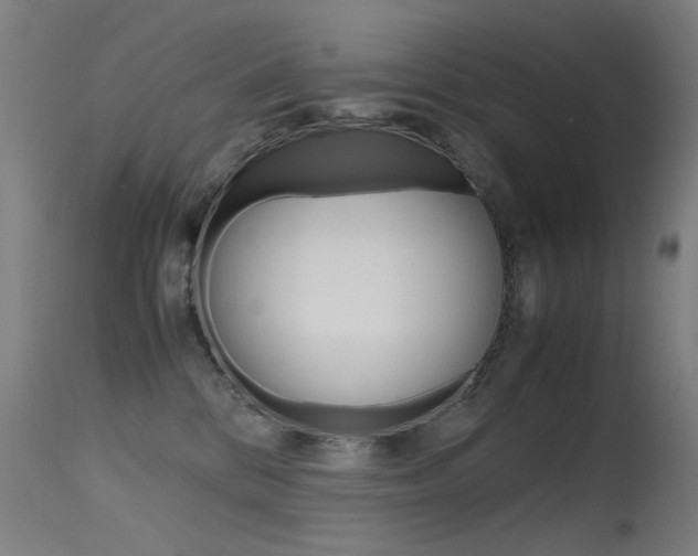 X0000115620328200911101102