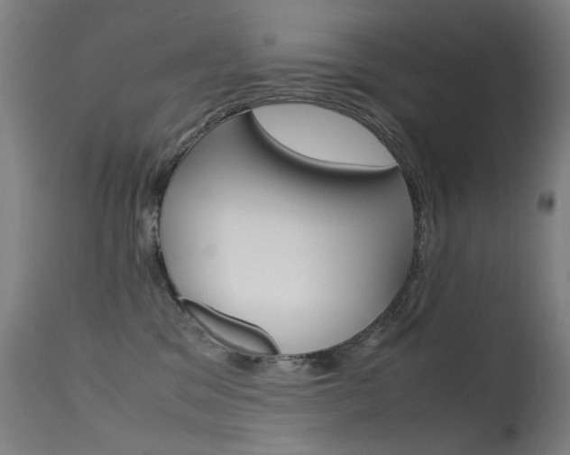 X0000115620329200911101102