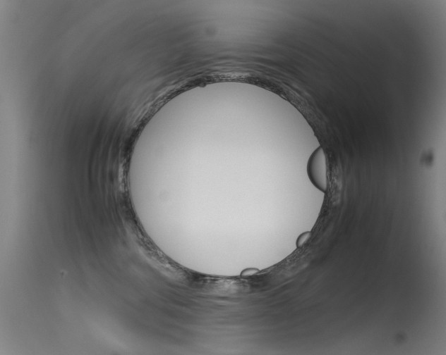 X0000115620330200911101102