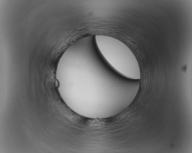 X0000115620331200911101102