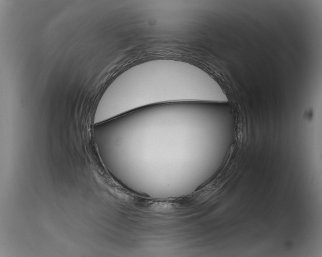 X0000115620332200911101102