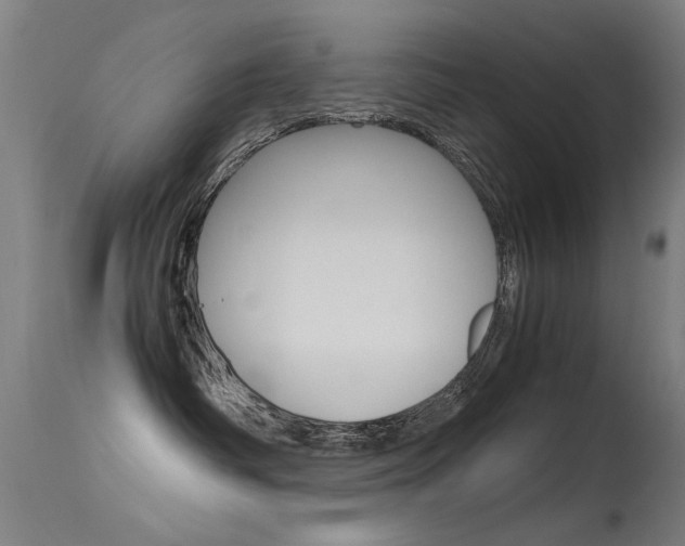 X0000115620334200911101101