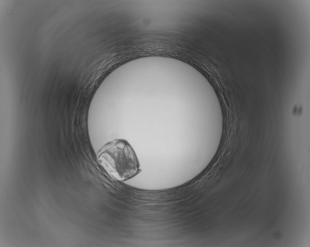 X0000115620336200911101101