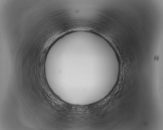 X0000115620337200911101101