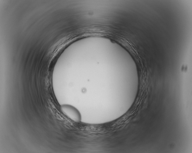 X0000115620338200911101101