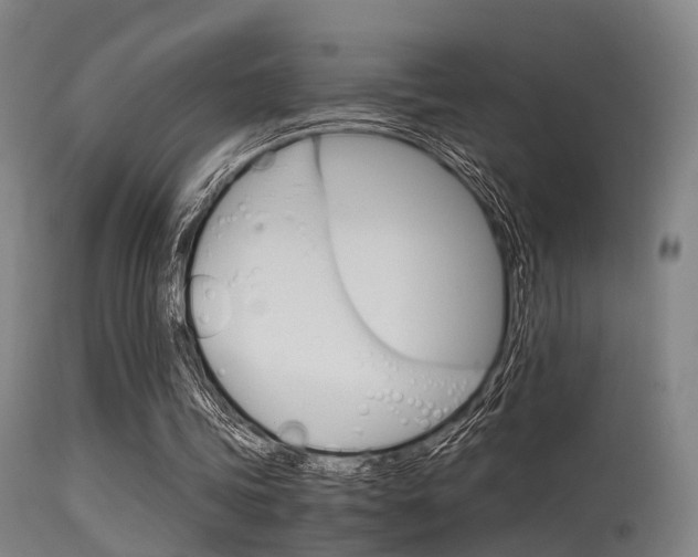 X0000115620339200911101101