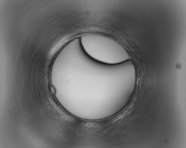 X0000115620341200911101101